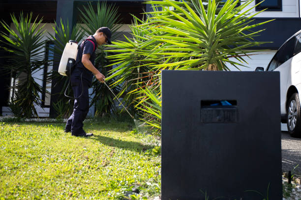 Safe and Eco Friendly Pest Control